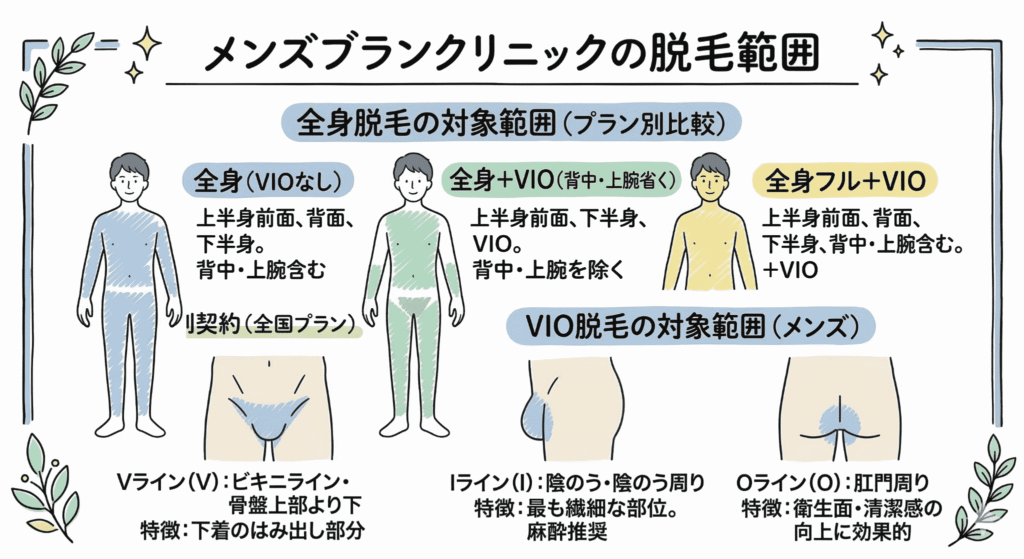 メンズブランクリニックの脱毛できる部位の範囲はどこまでかのイラスト